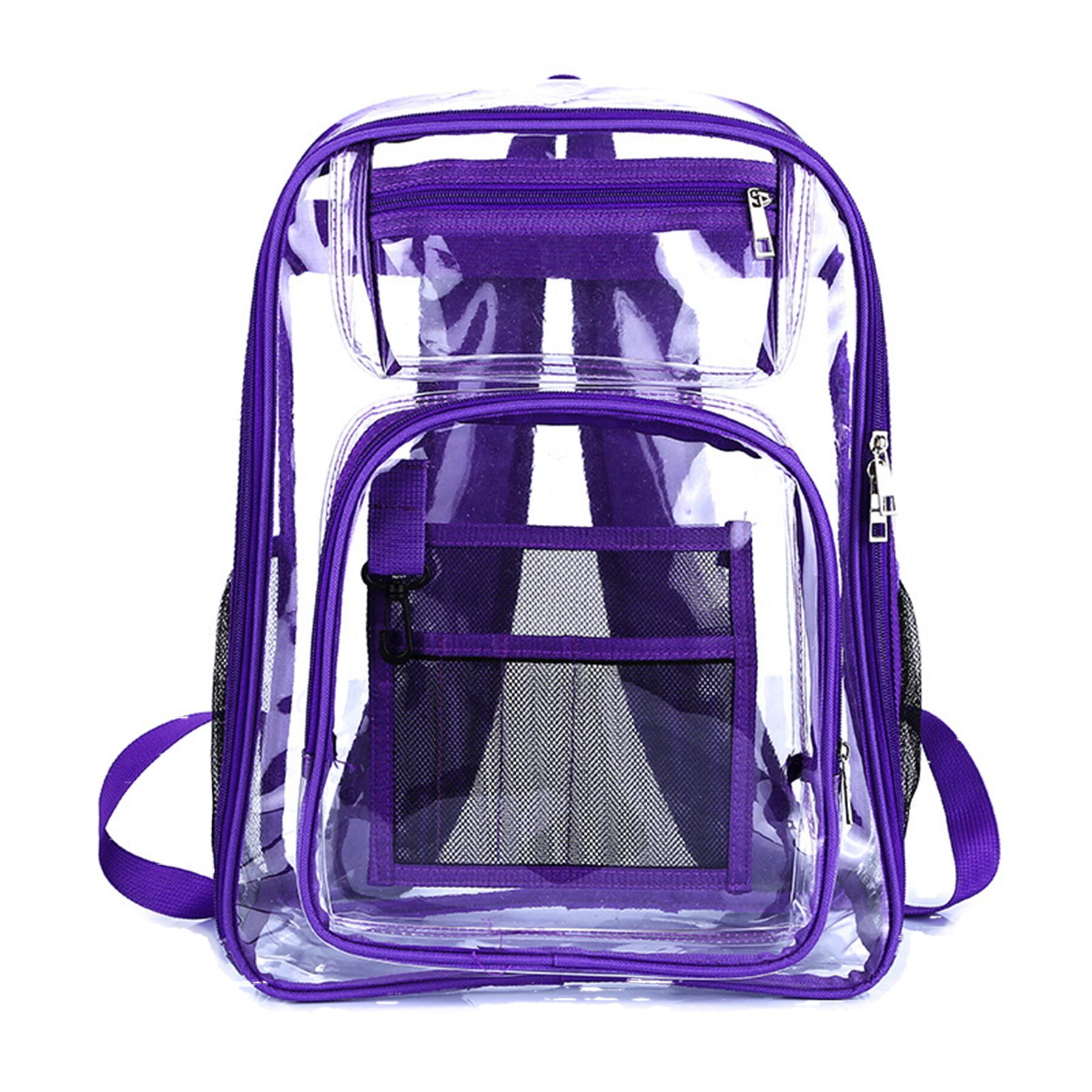 Transparent Backpack