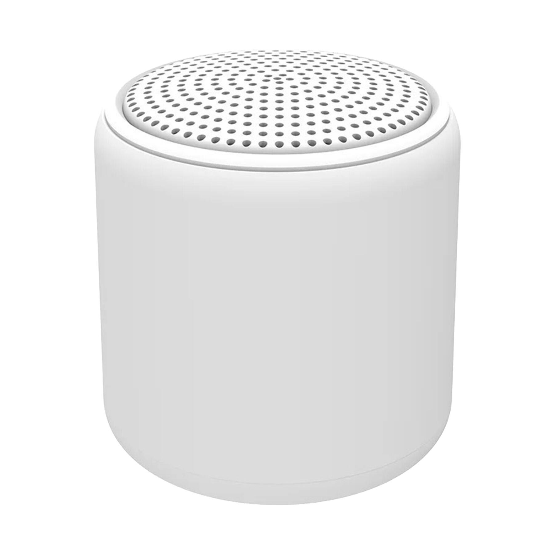 Portable Mini Wireless Speaker