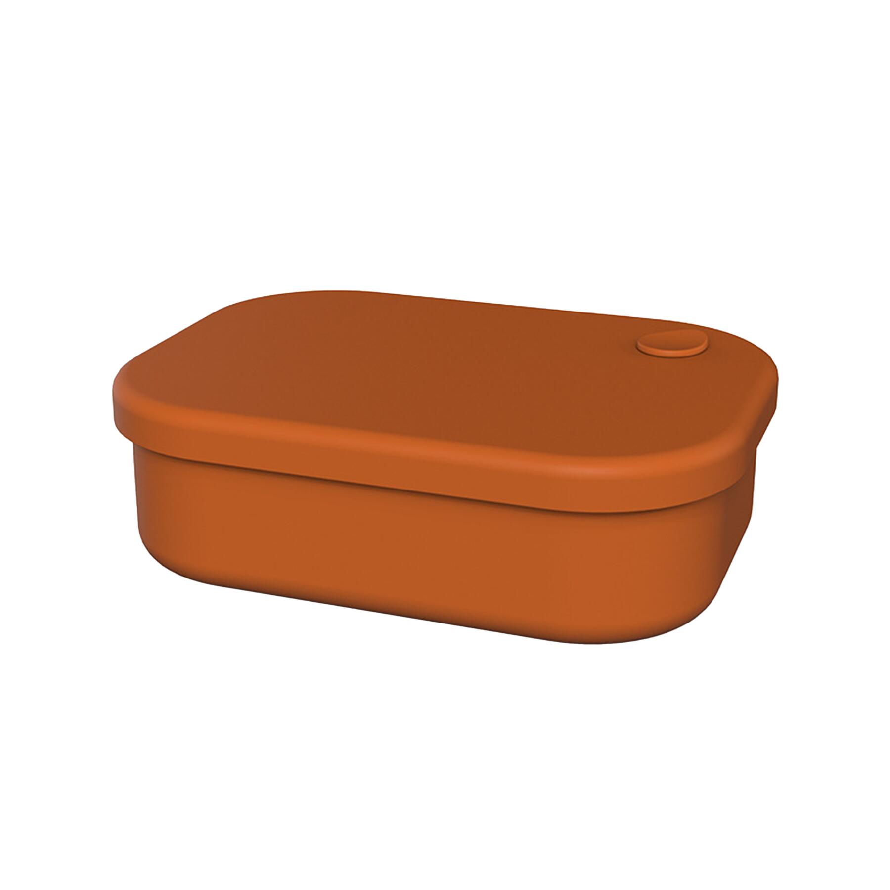 Silicone Lunch Box