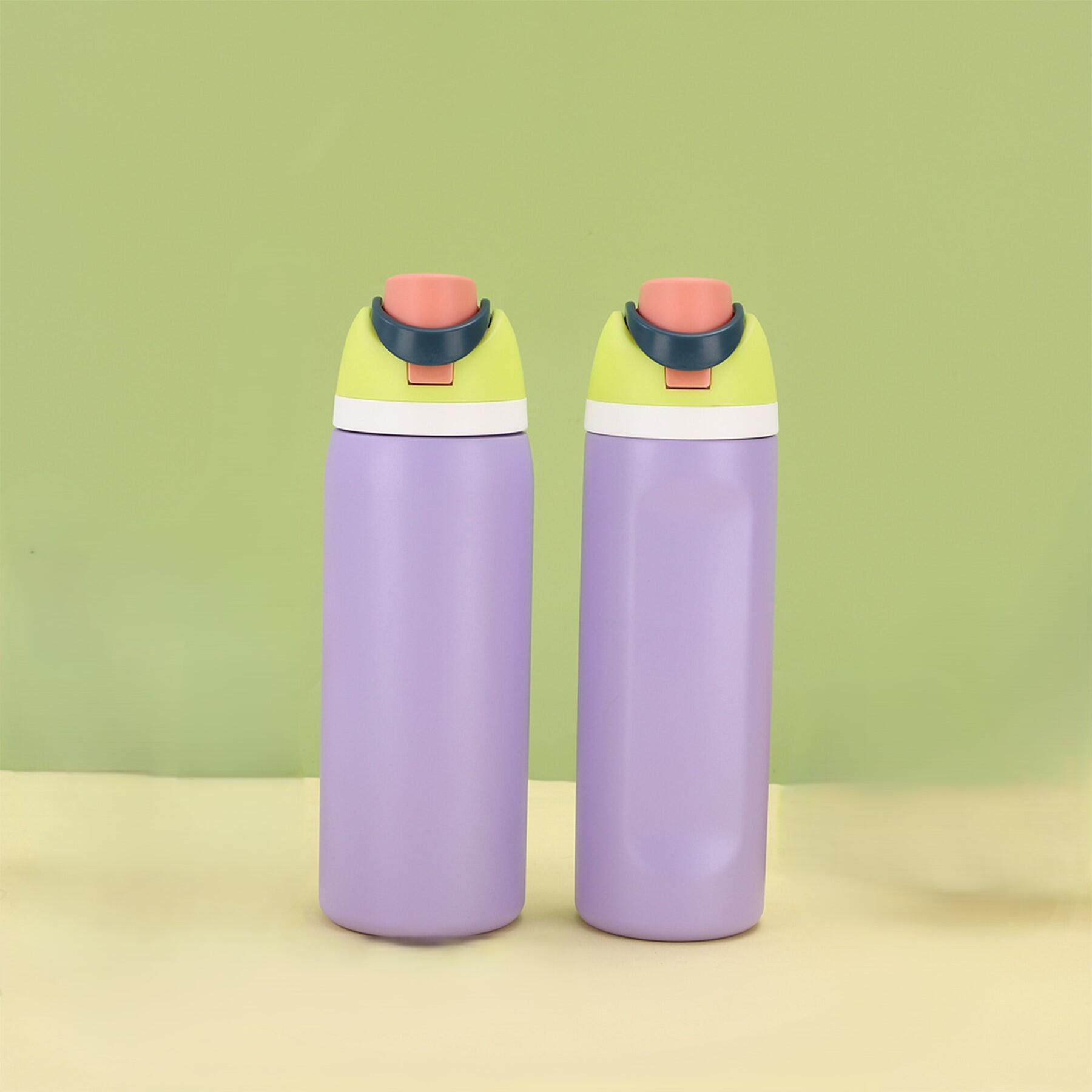24 oz Insulated Stainless Steel Water Bottle