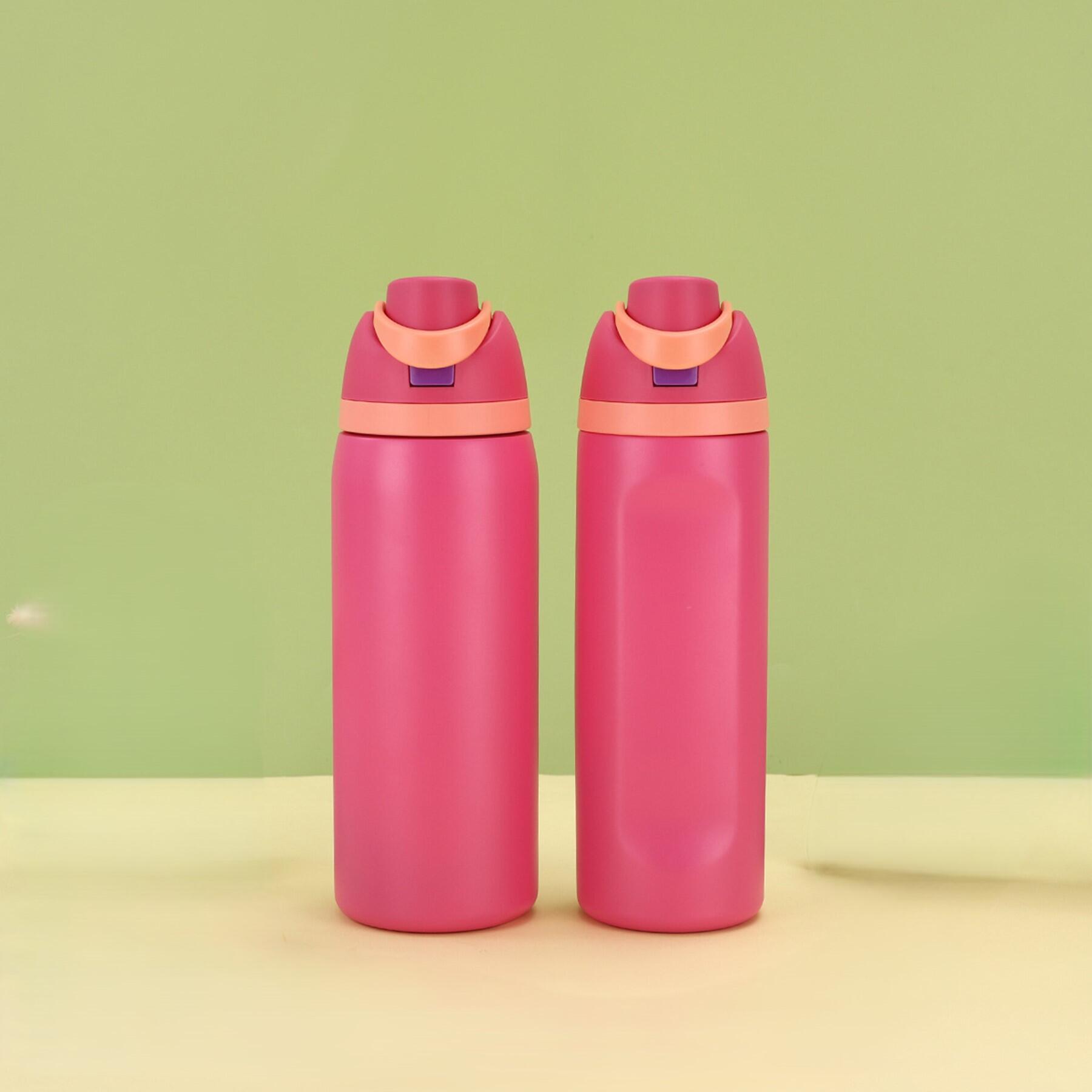 24 oz Insulated Stainless Steel Water Bottle