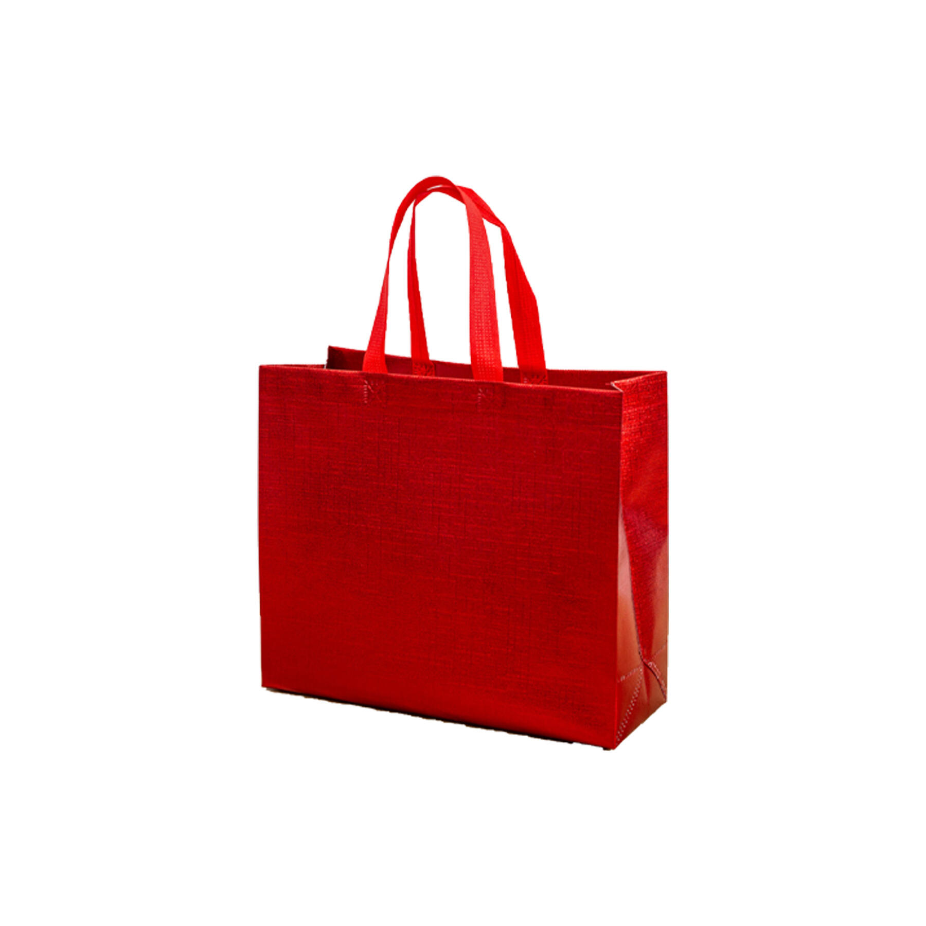 Shiny Reusable Shopping Bag
