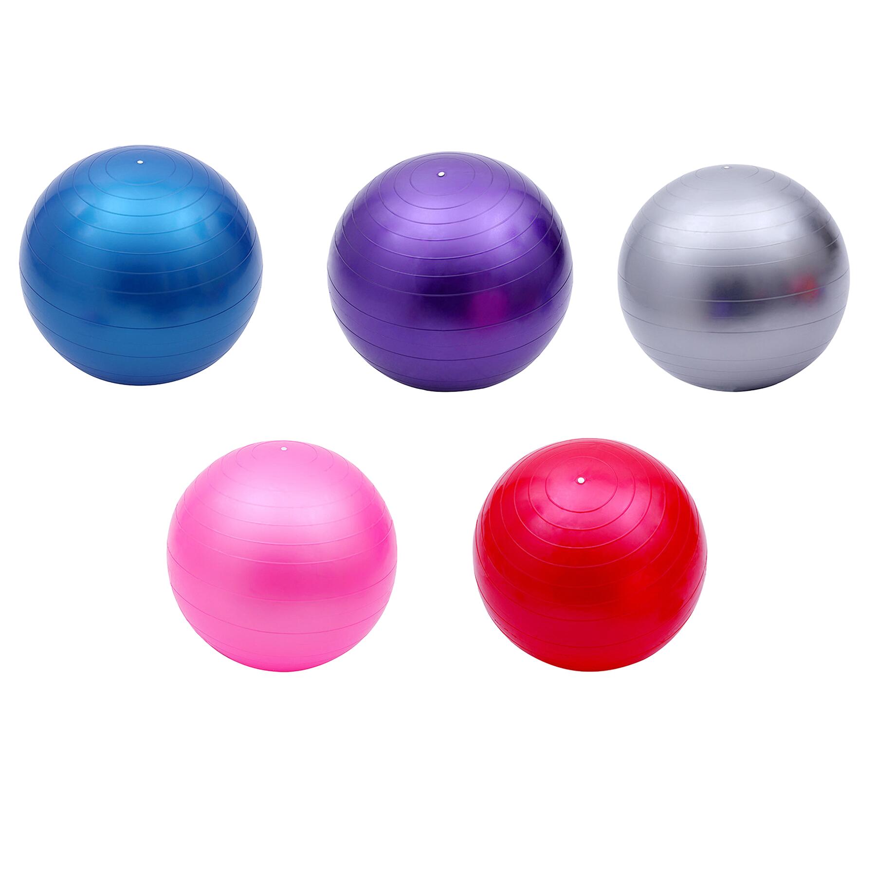 Premium Yoga Exercise Ball Kit