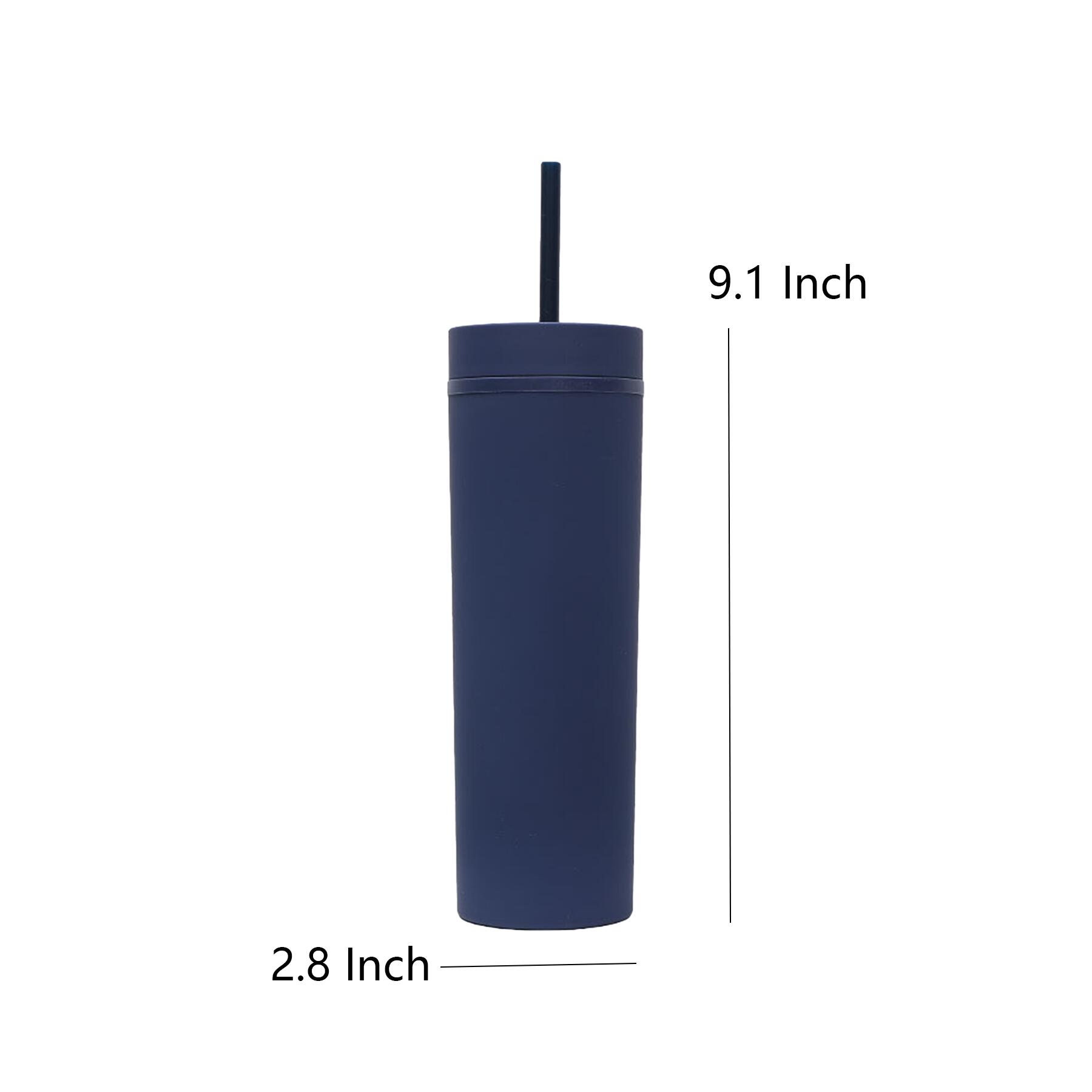 Insulated Plastic Straw Cup 16oz