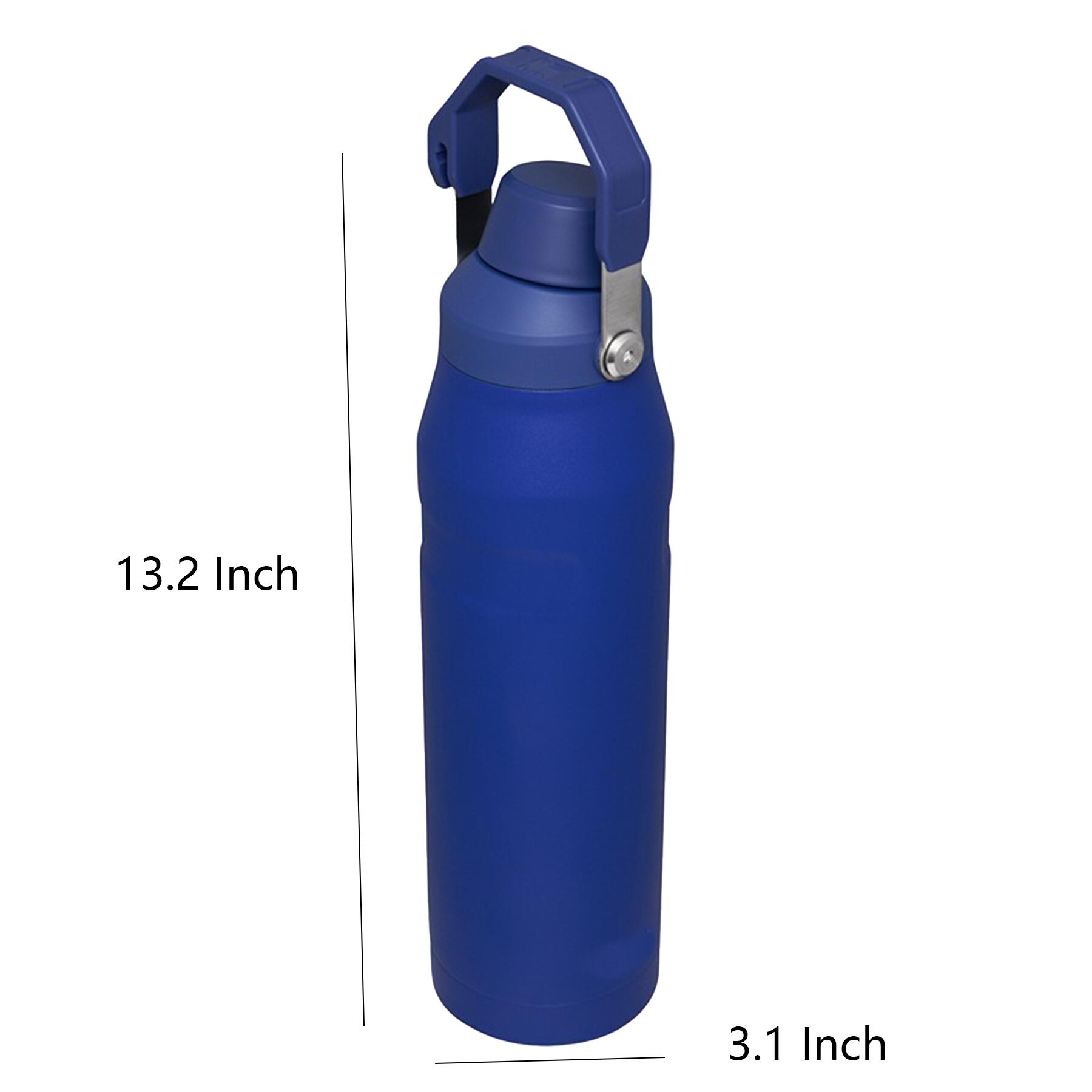Insulated Water Bottle with Handle