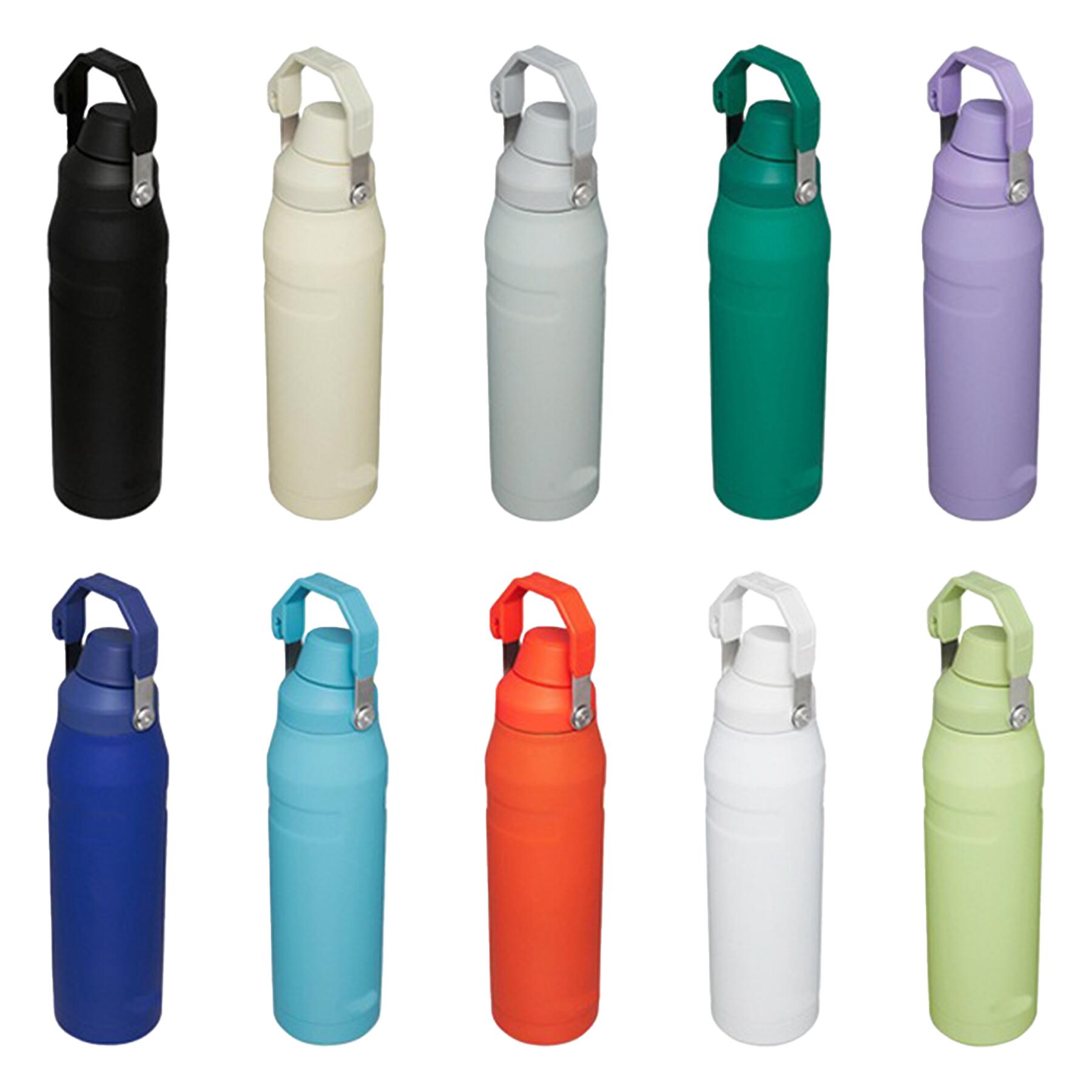 Insulated Water Bottle with Handle