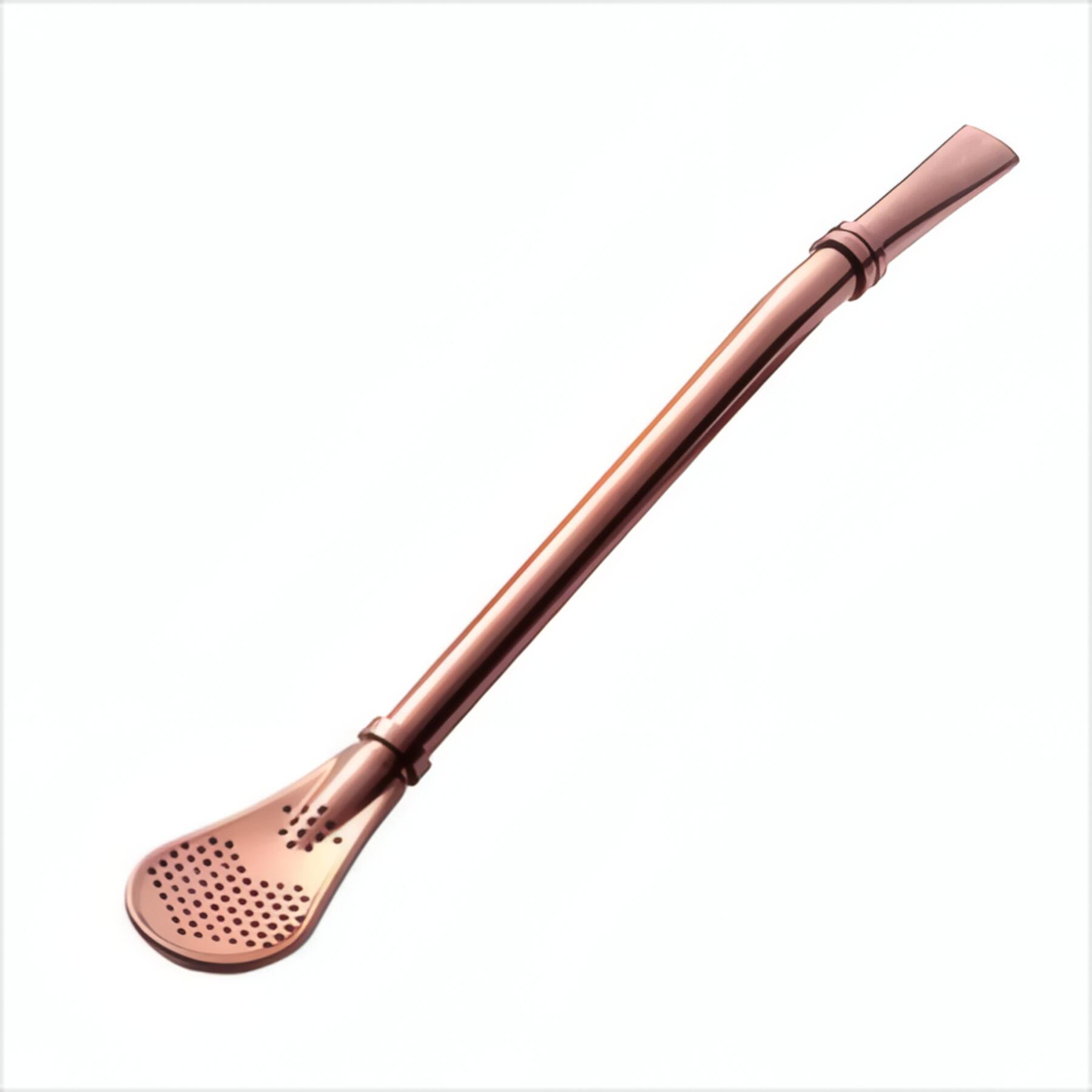 Stainless Steel Spoon Straws Set