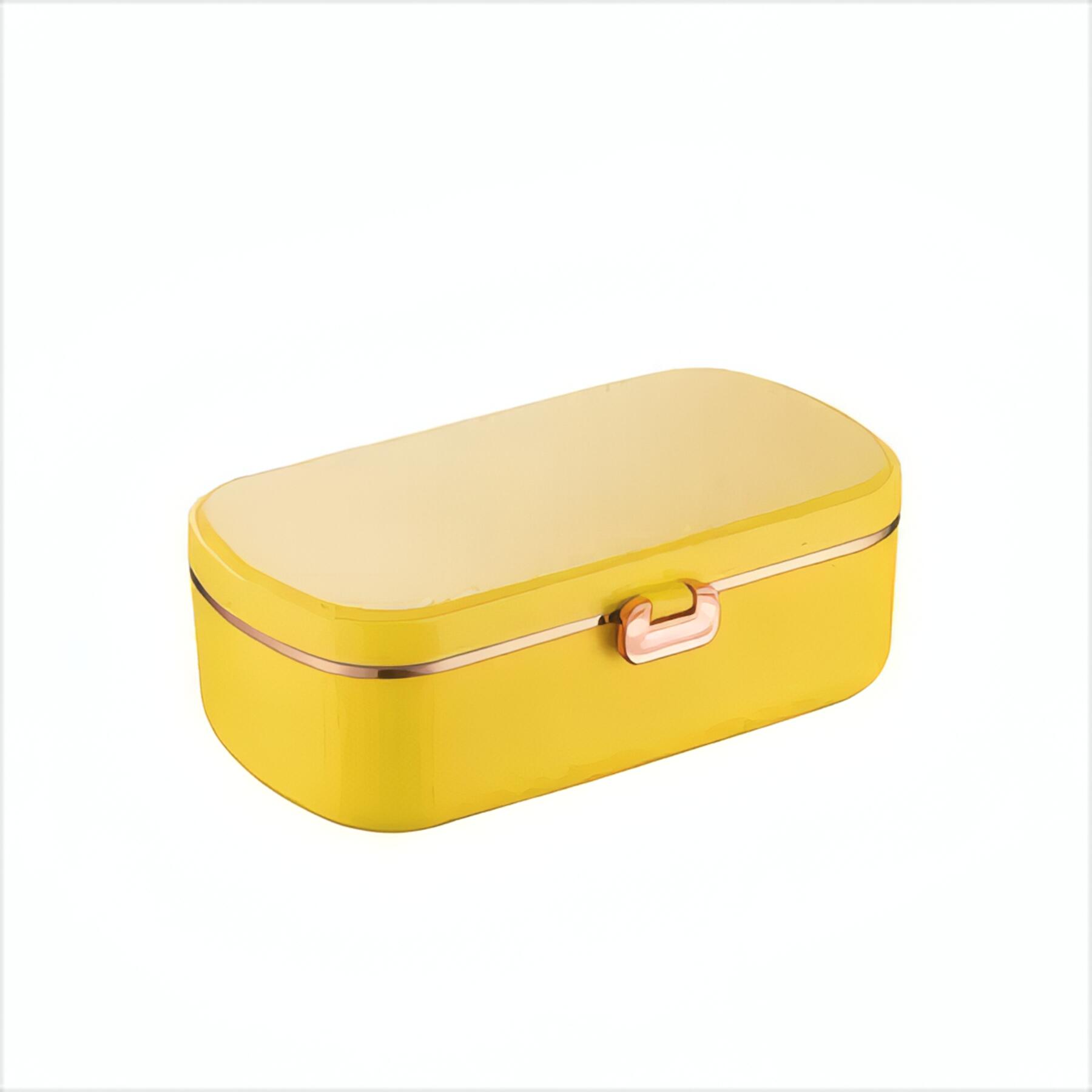 Portable Electric Heated Lunch Box