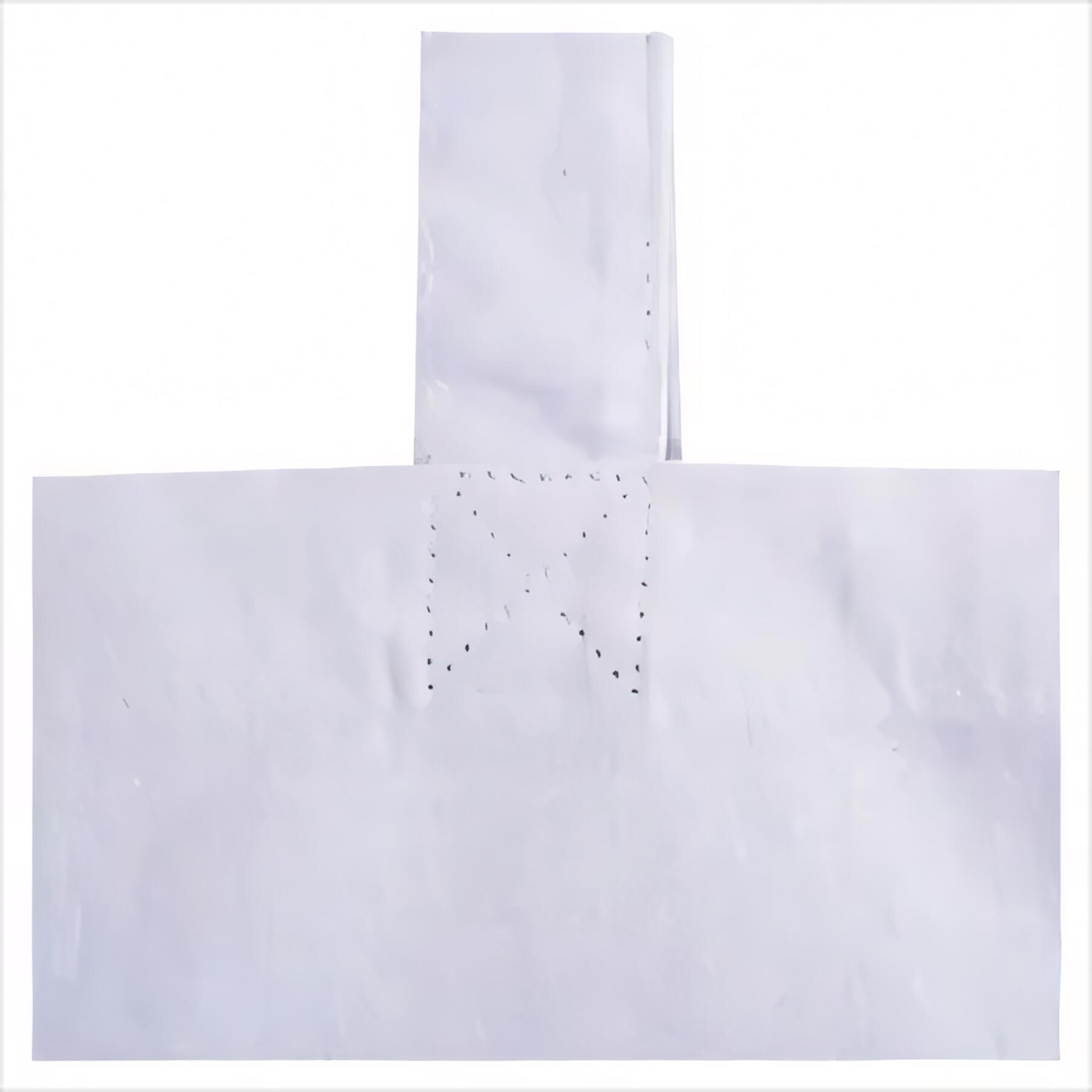 Foldable Cotton Canvas Tote Bag