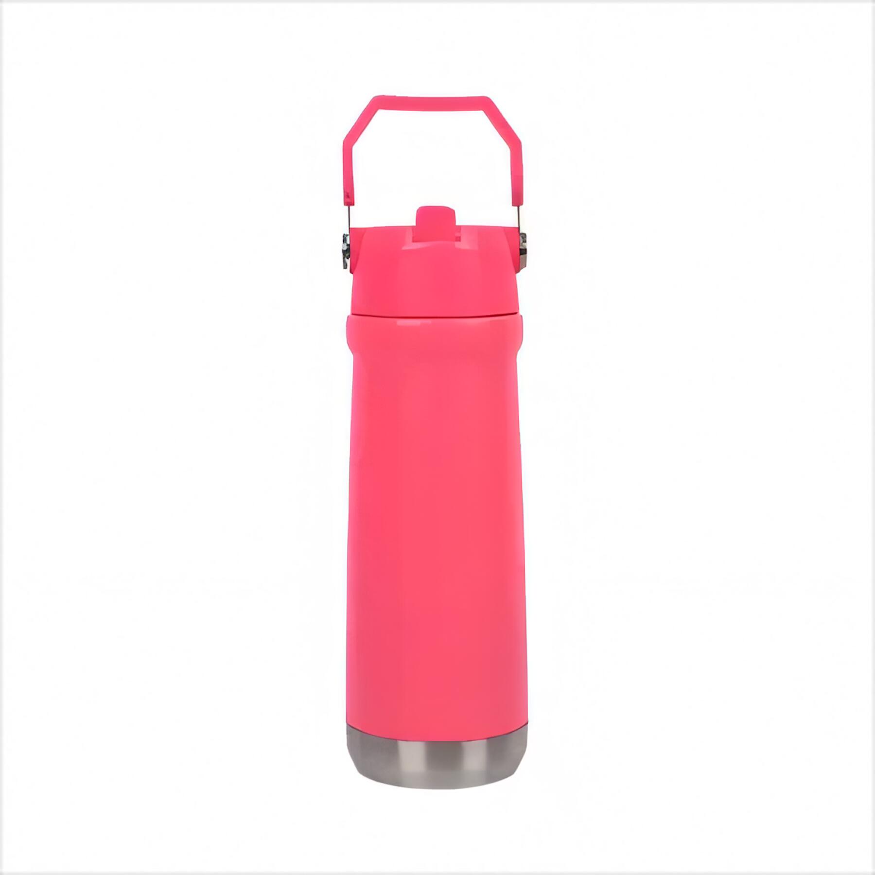 22oz Stainless Steel Vacuum Water Bottle