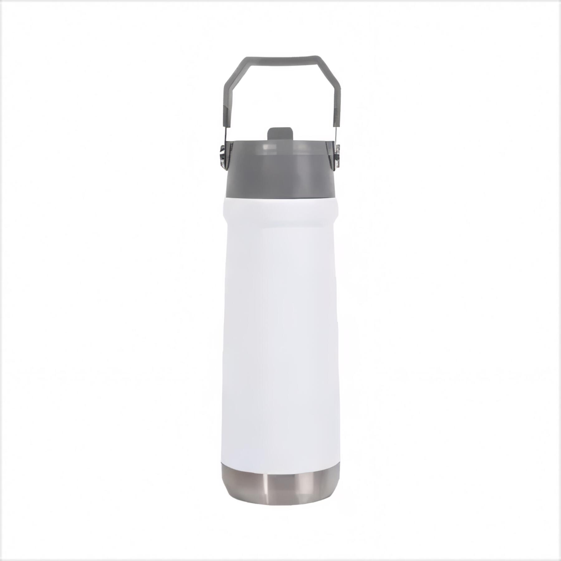 22oz Stainless Steel Vacuum Water Bottle