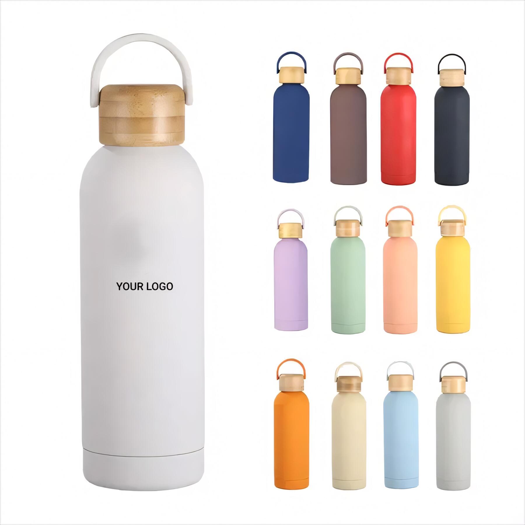 Insulated Stainless Steel Water Bottle
