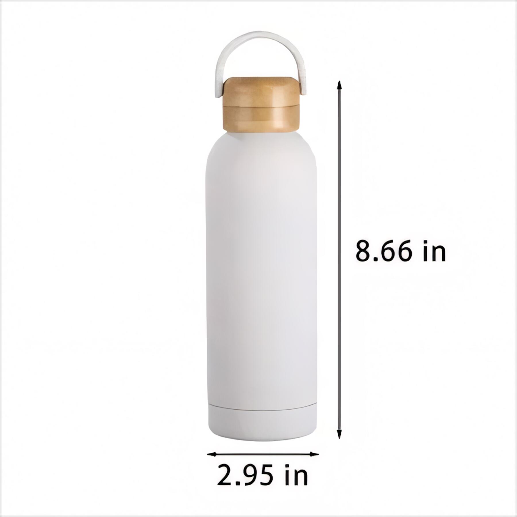 Insulated Stainless Steel Water Bottle