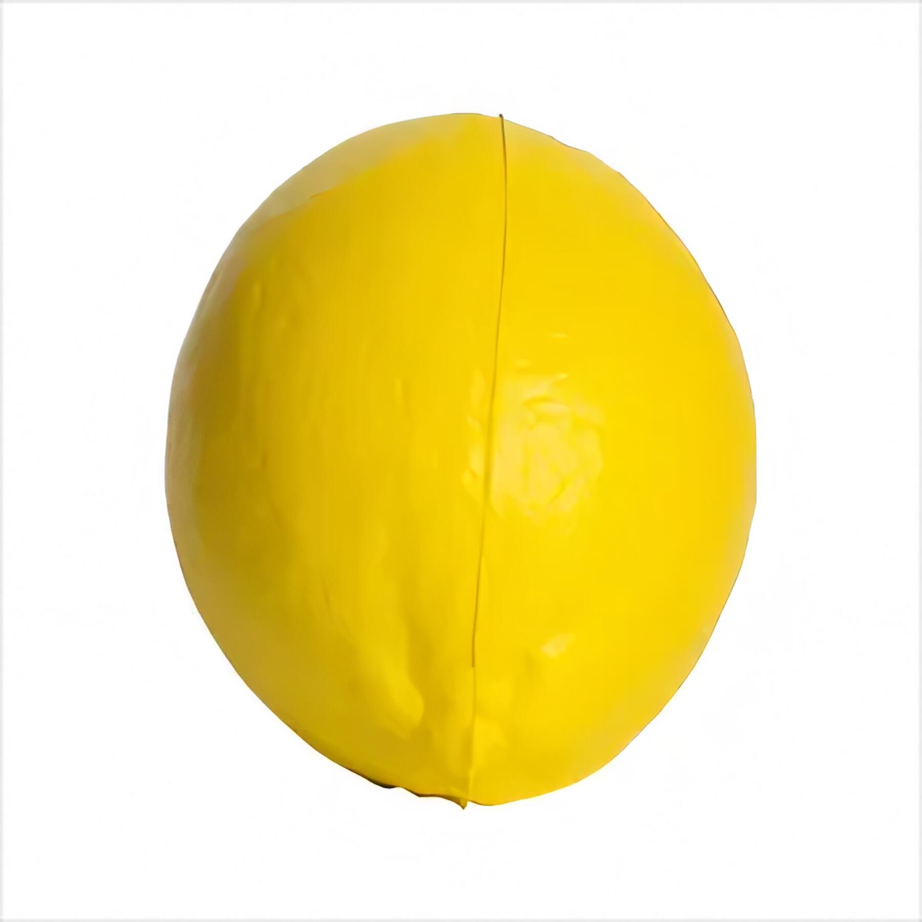 Zesty Lemon Squeeze Stress Toy