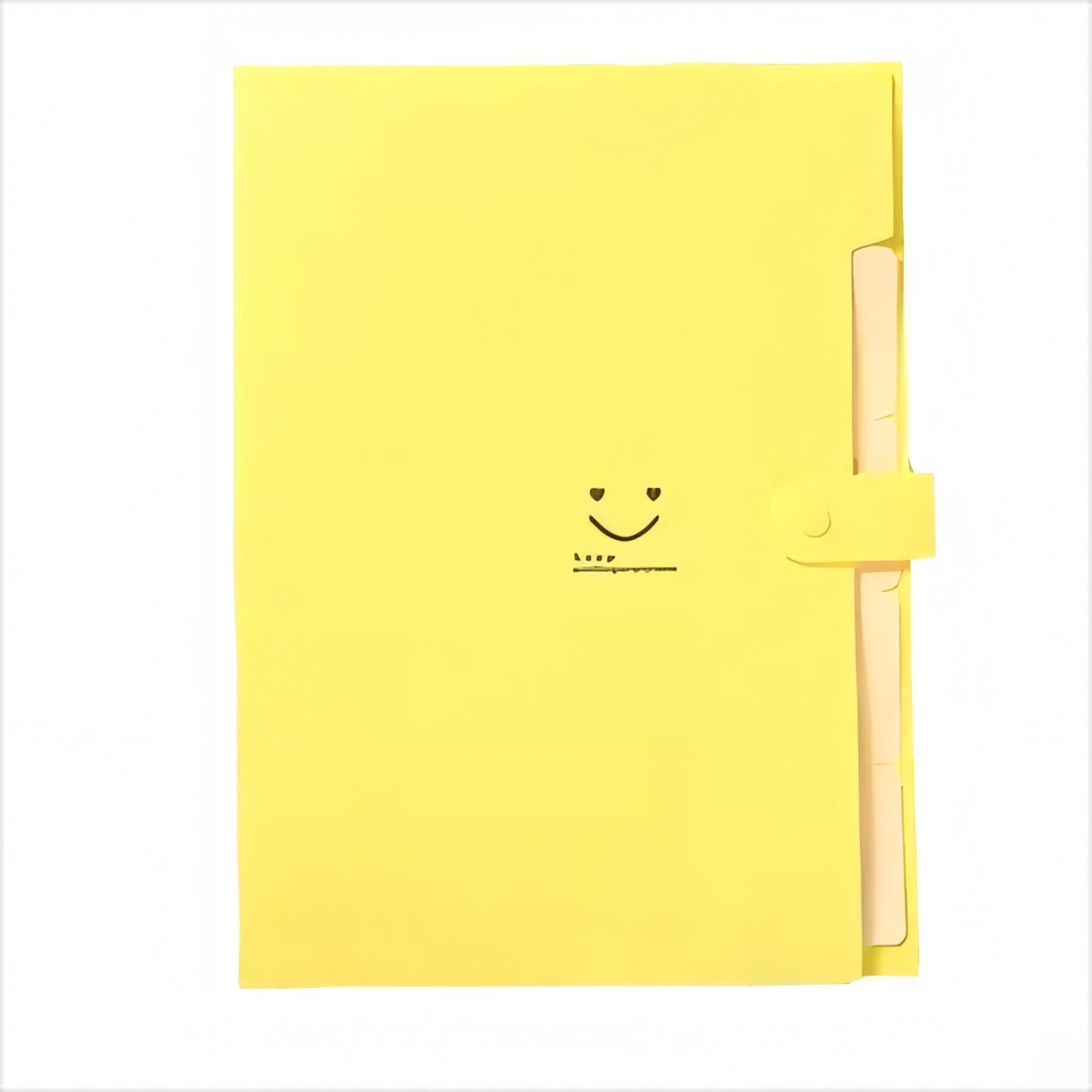 5 Pocket Expanding File Folder