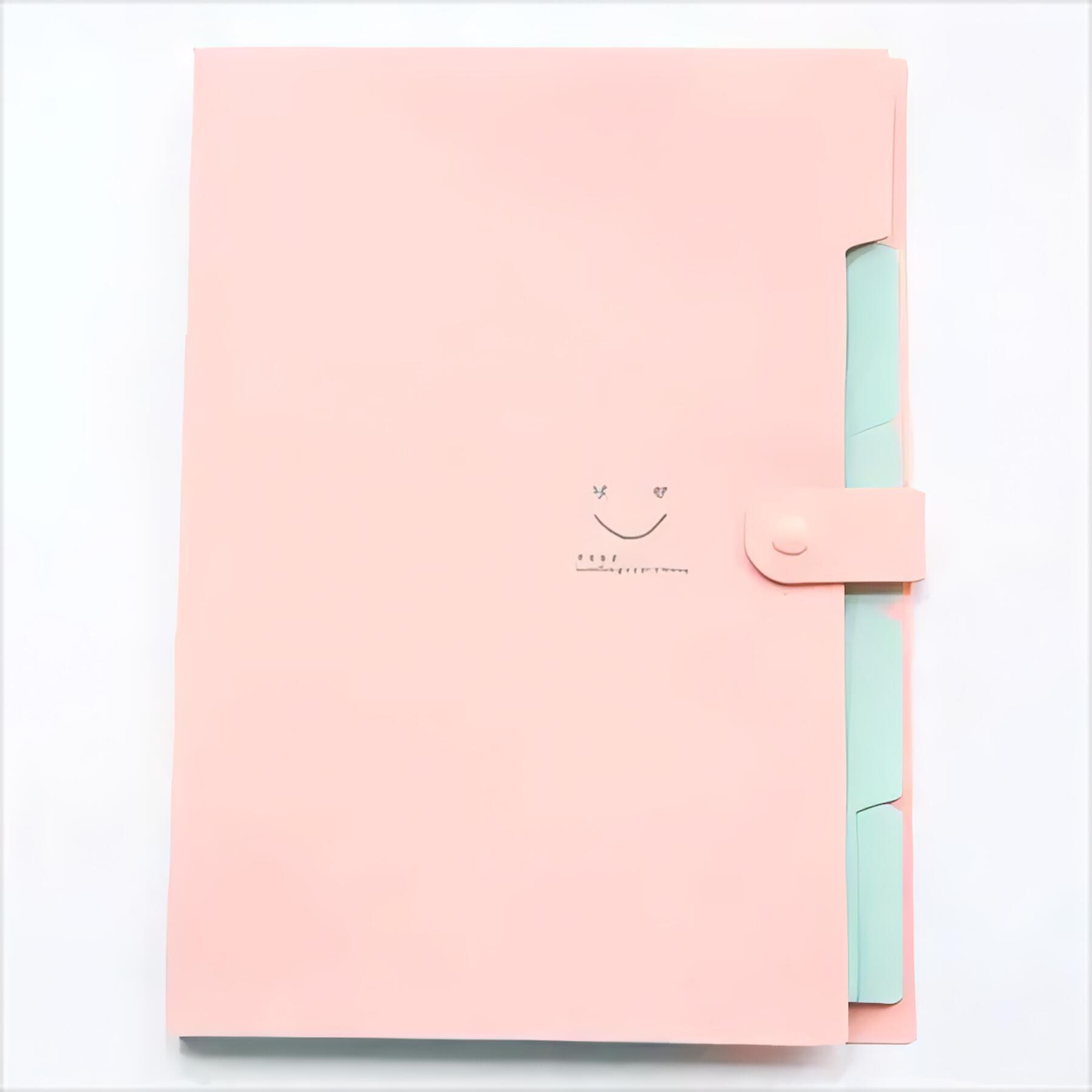 5 Pocket Expanding File Folder