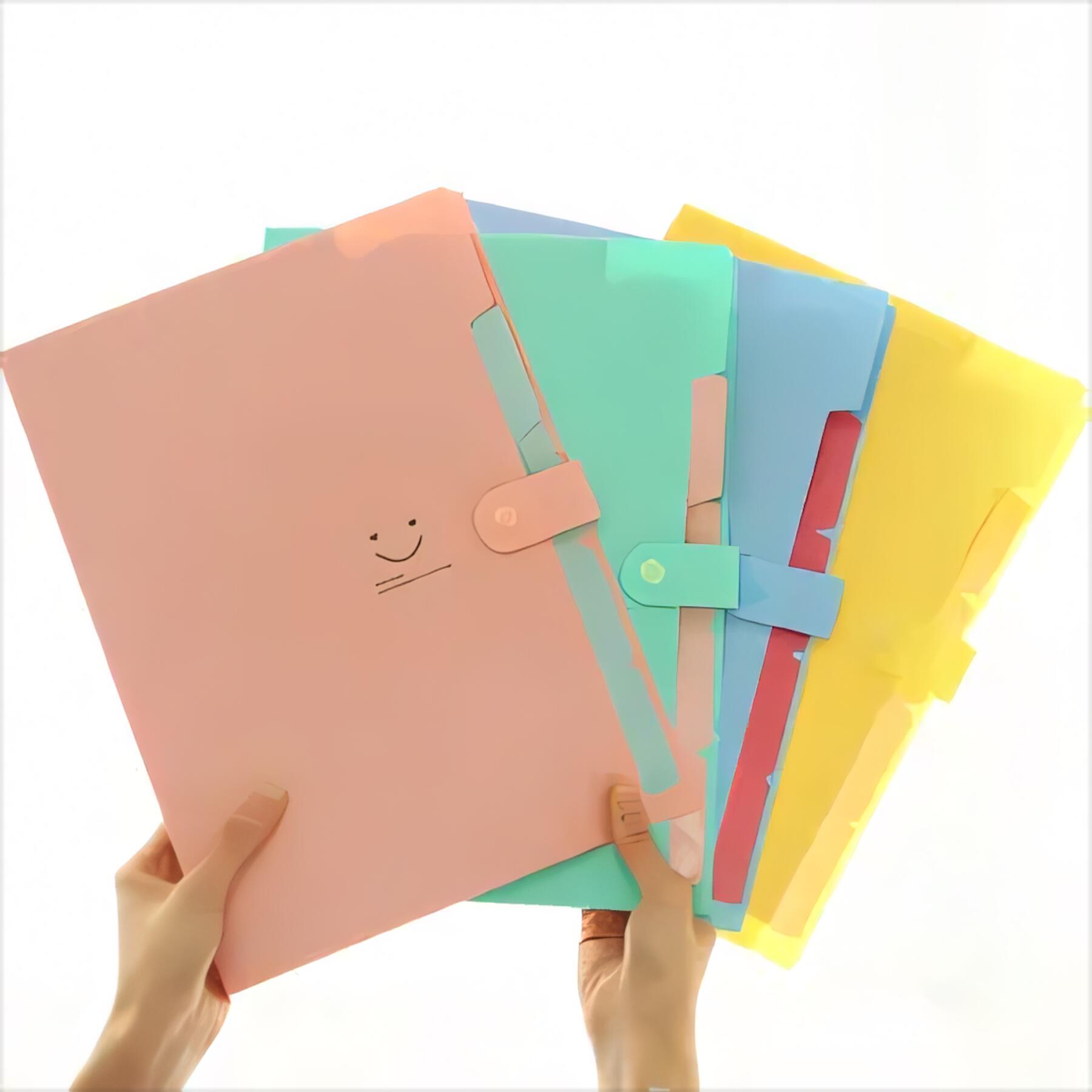 5 Pocket Expanding File Folder