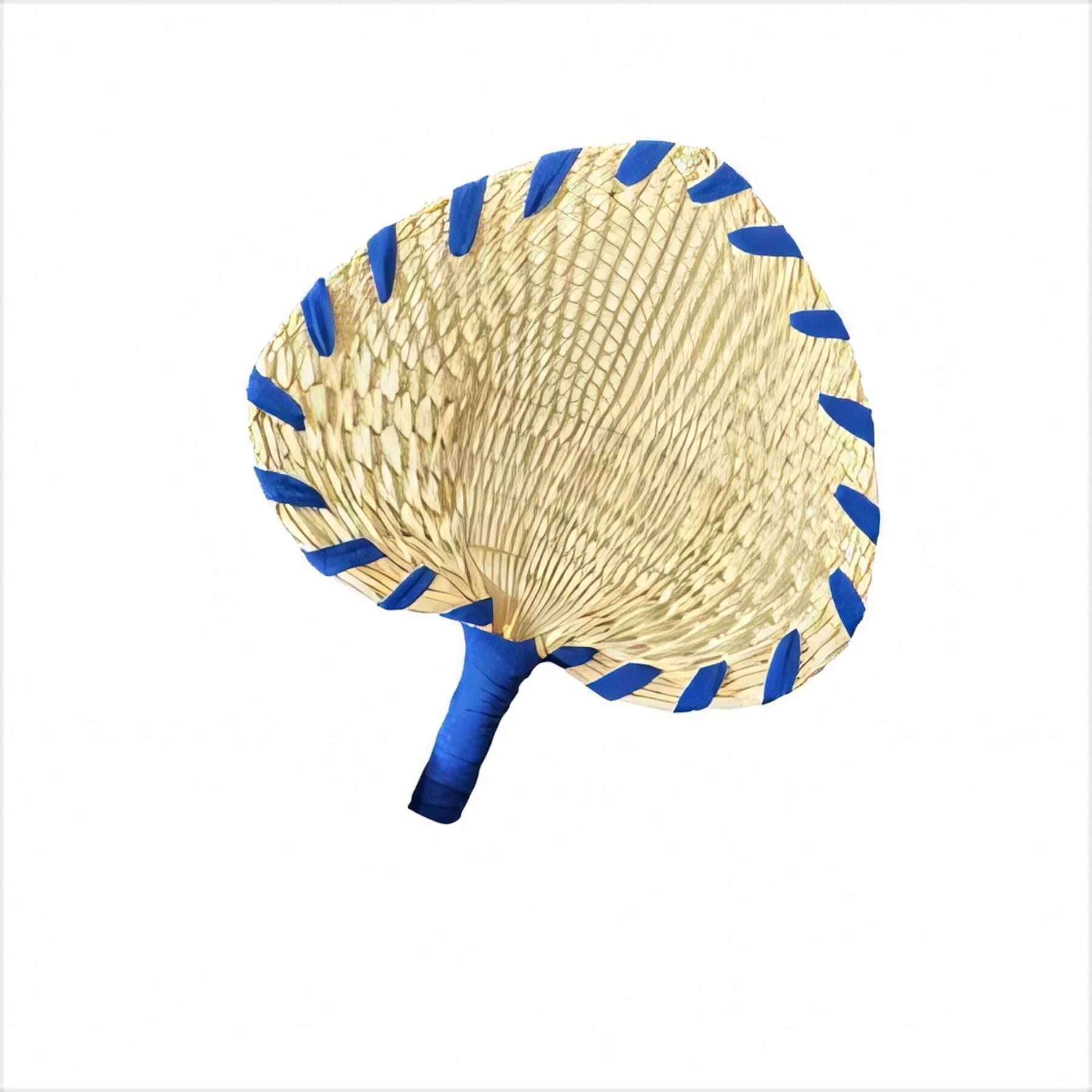 LED Luminous Folding Fan