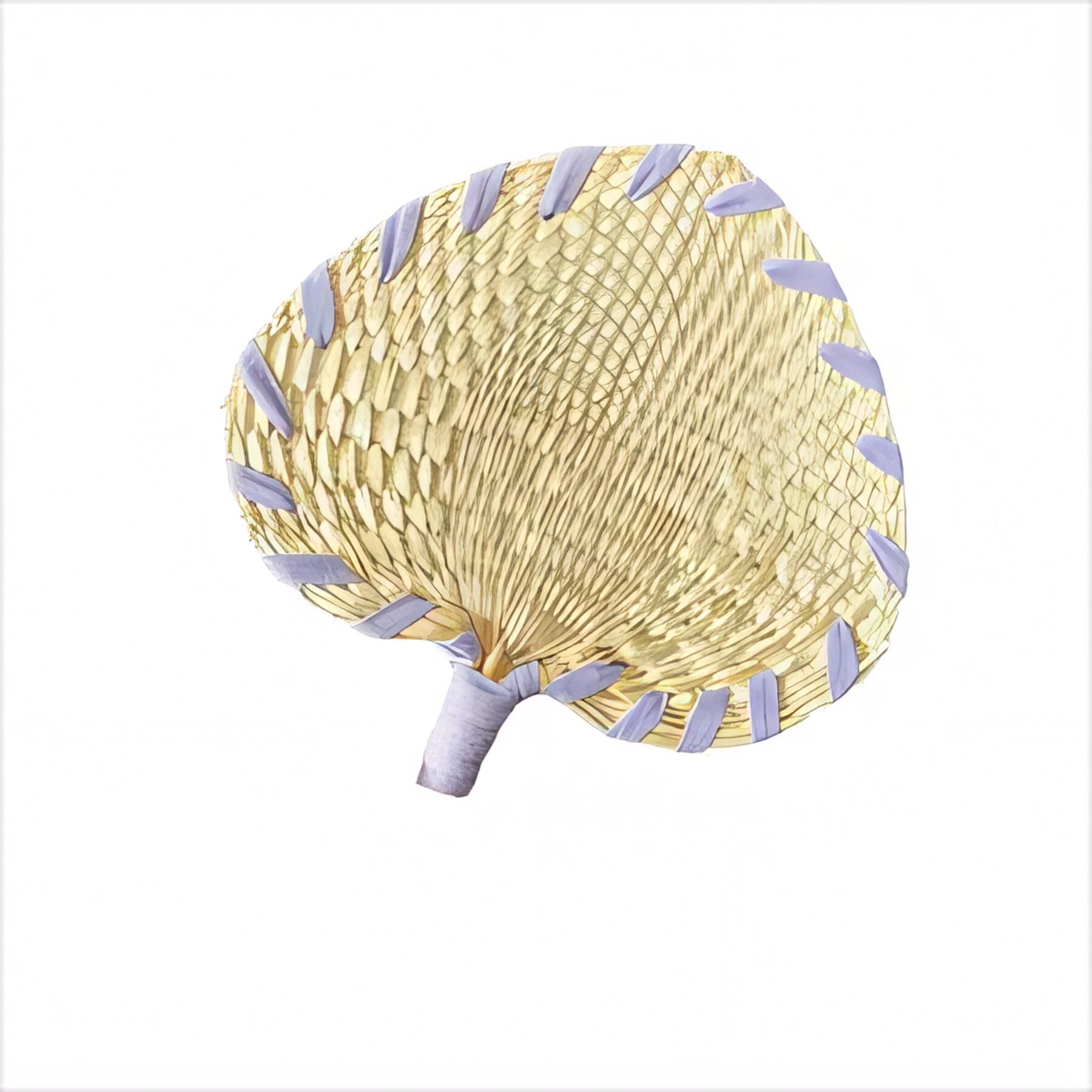 LED Luminous Folding Fan