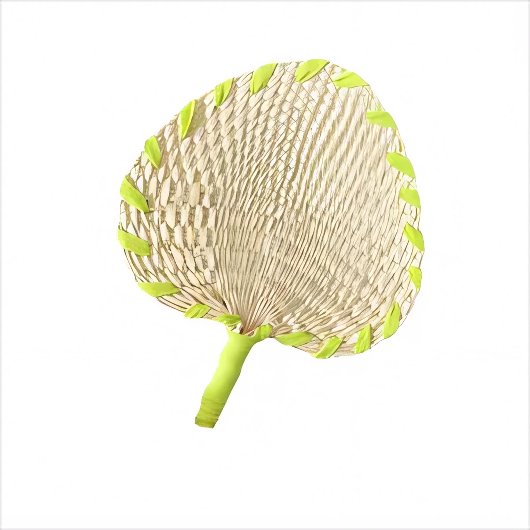 LED Luminous Folding Fan