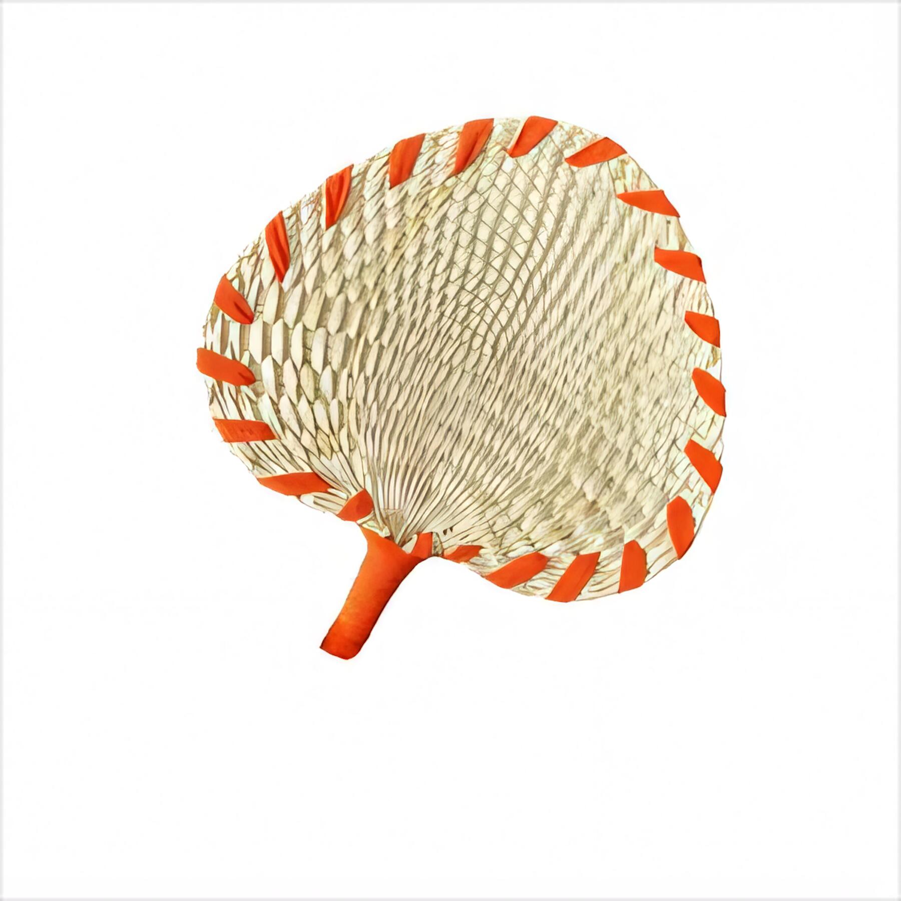 LED Luminous Folding Fan