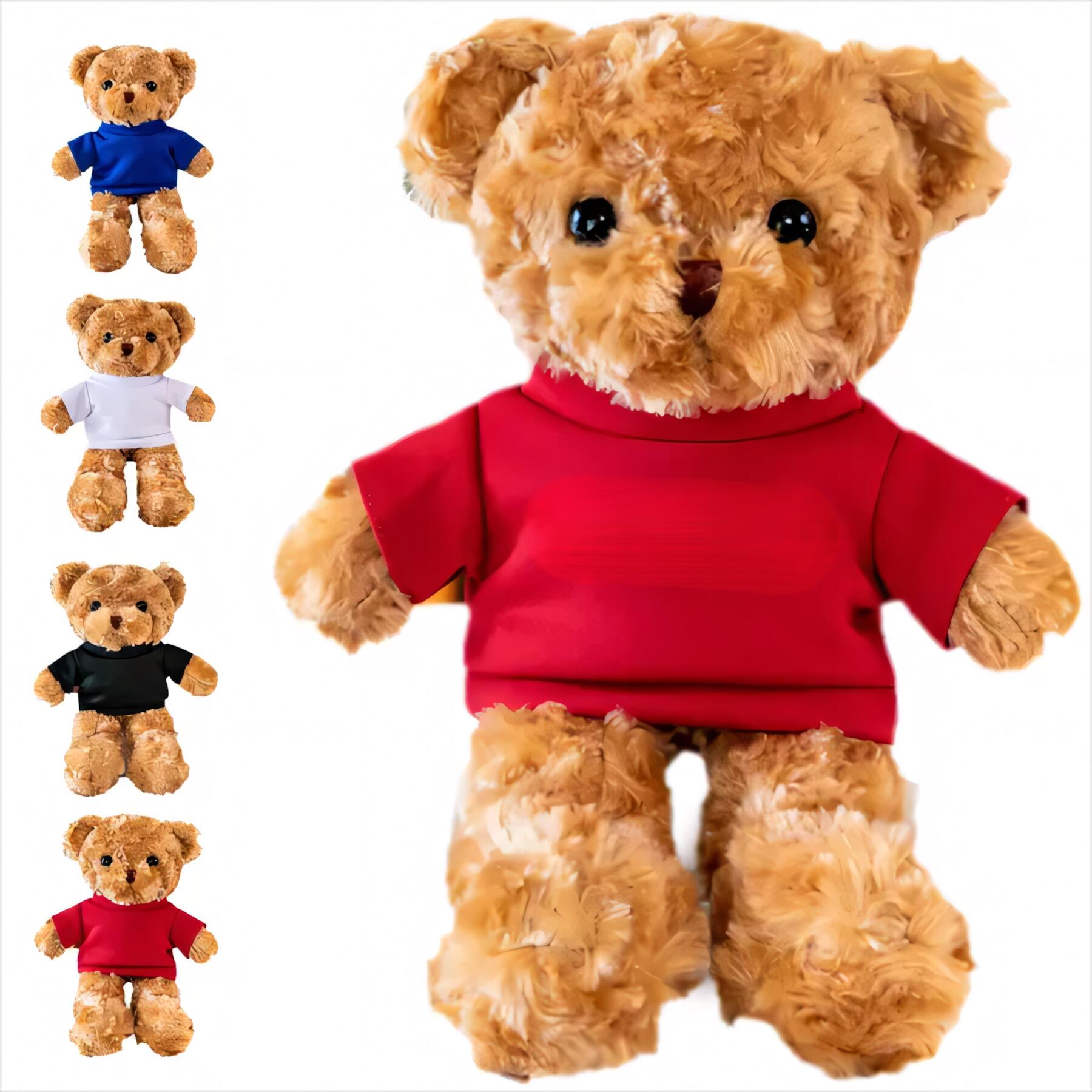 Plush Teddy Bear with Apparel