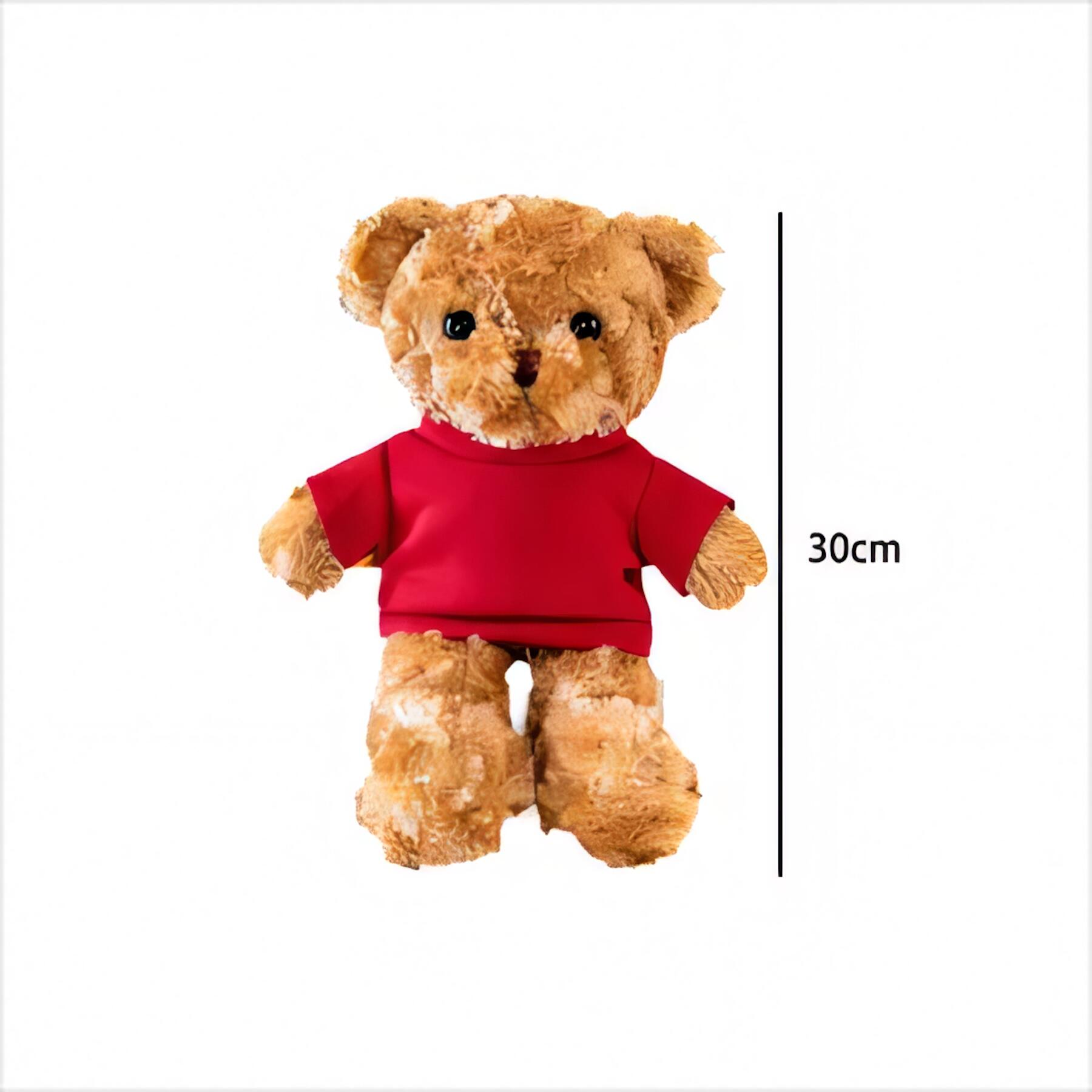 Plush Teddy Bear with Apparel