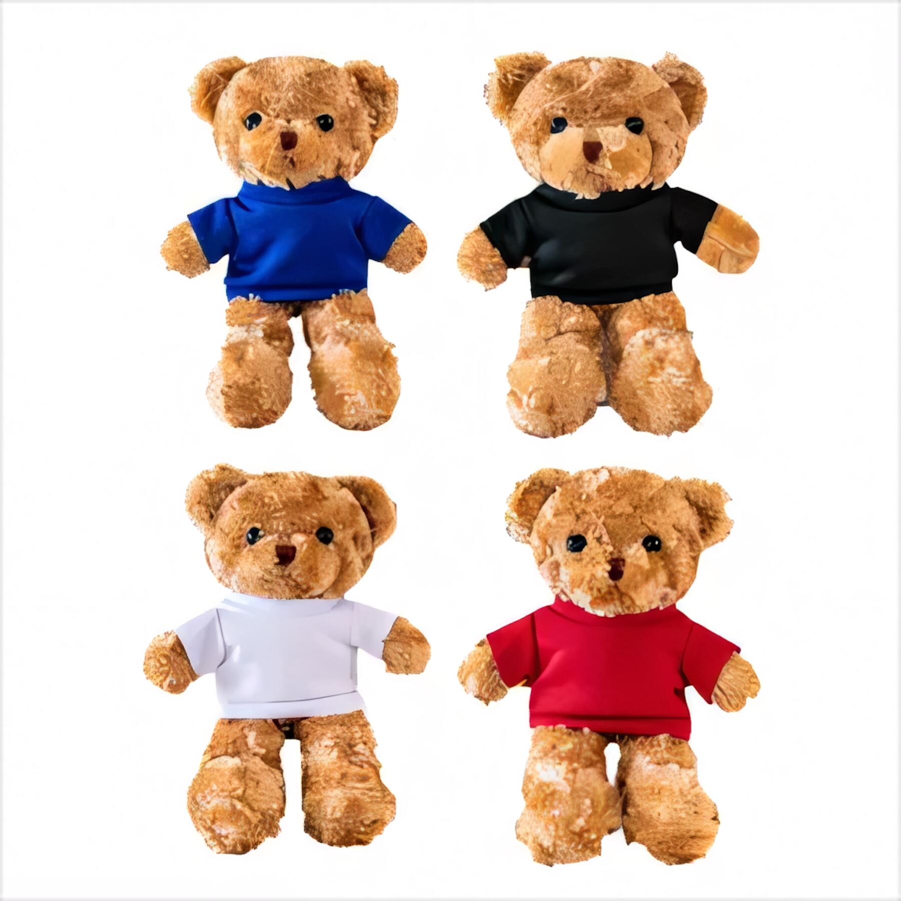 Plush Teddy Bear with Apparel