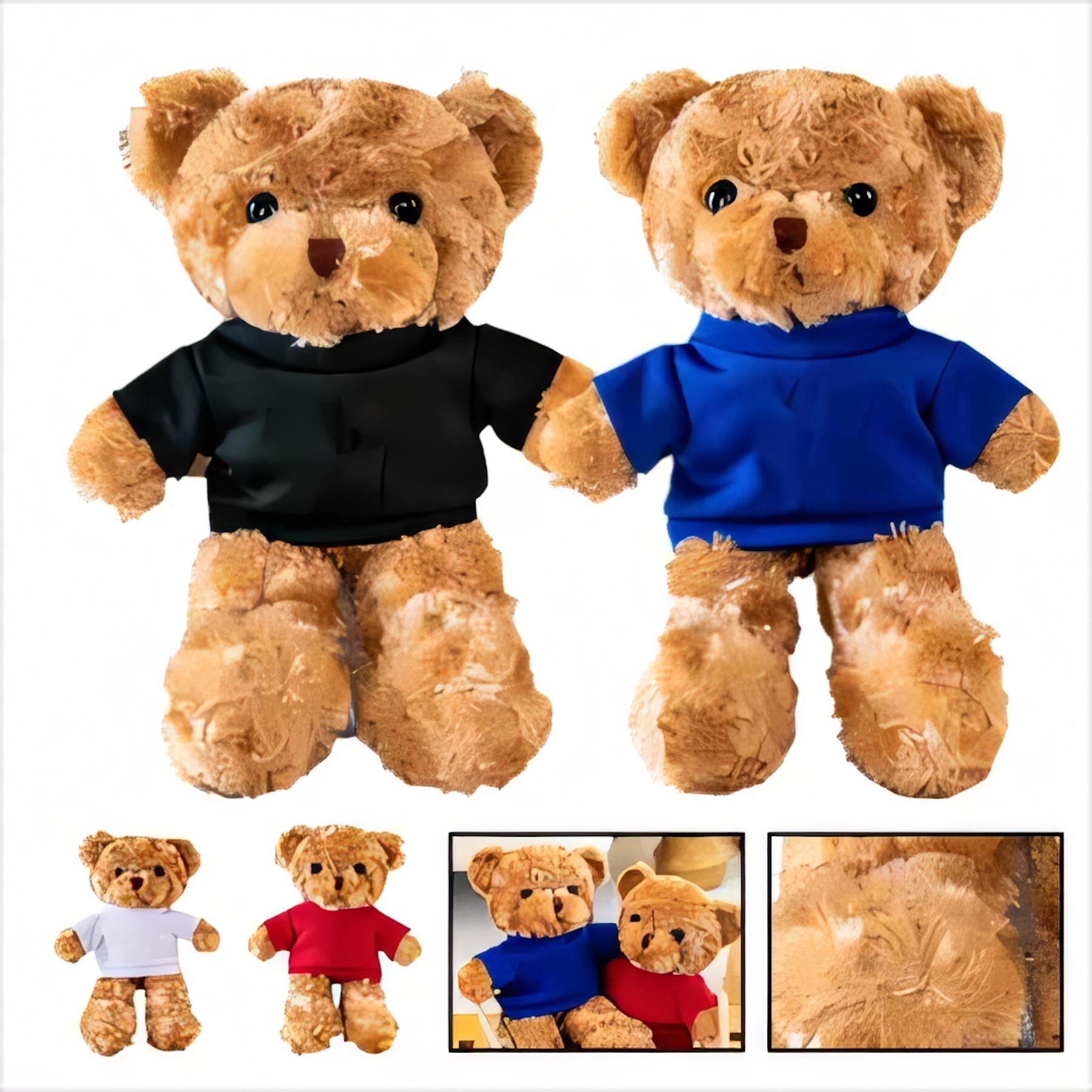 Plush Teddy Bear with Apparel