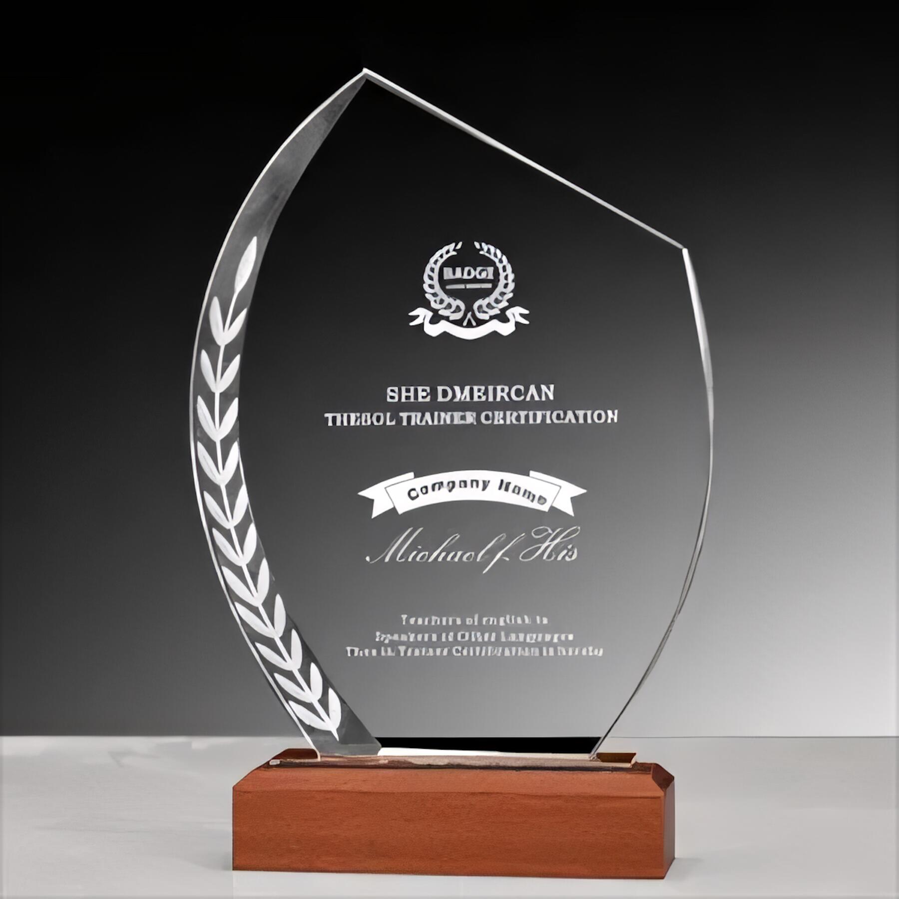 Elegant Glass Award Plaque
