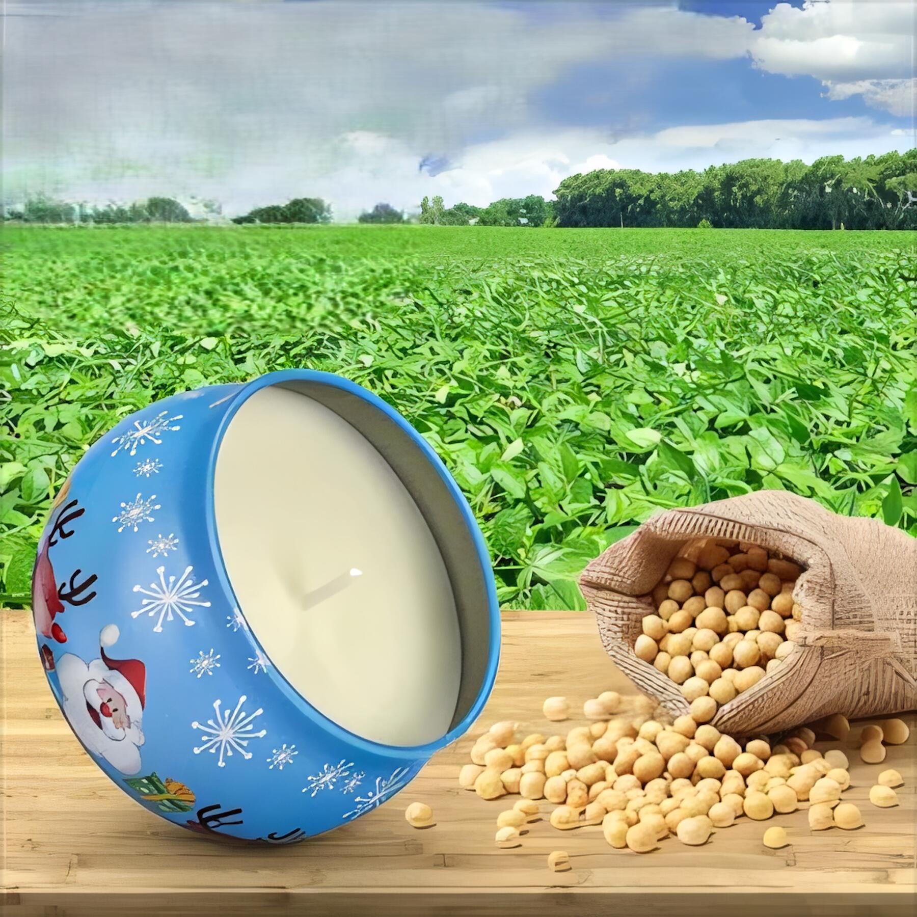 Portable Soy Wax Aromatherapy Candle