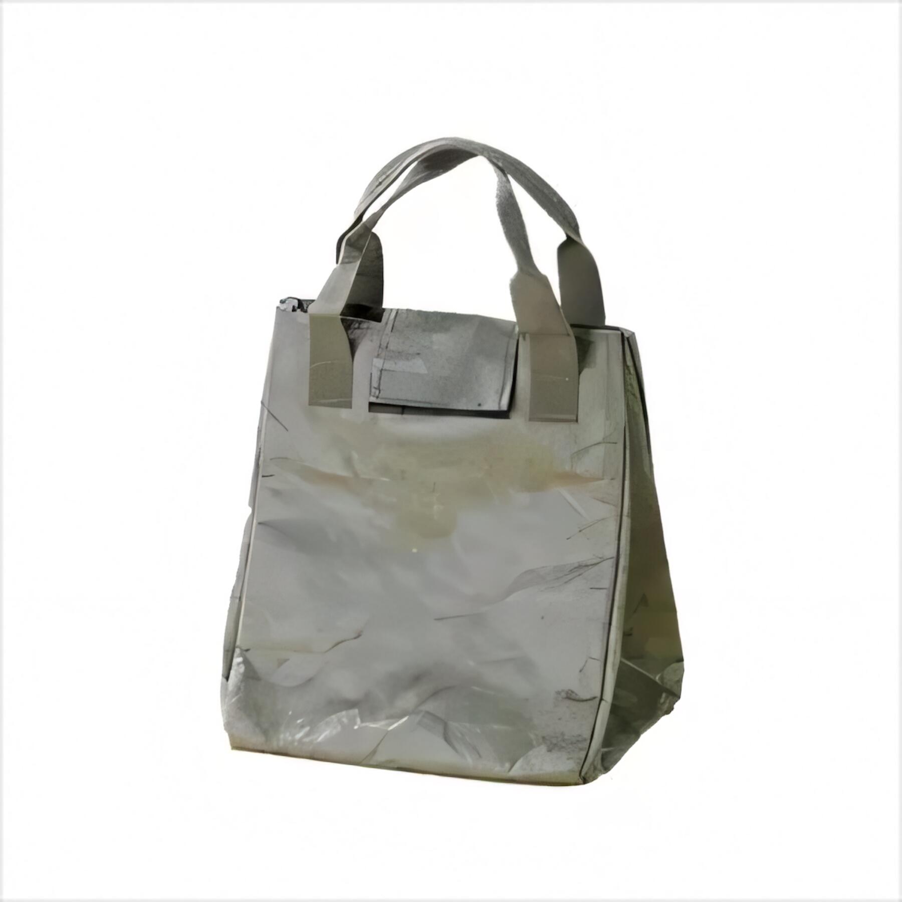 Washable Kraft Paper Lunch Tote