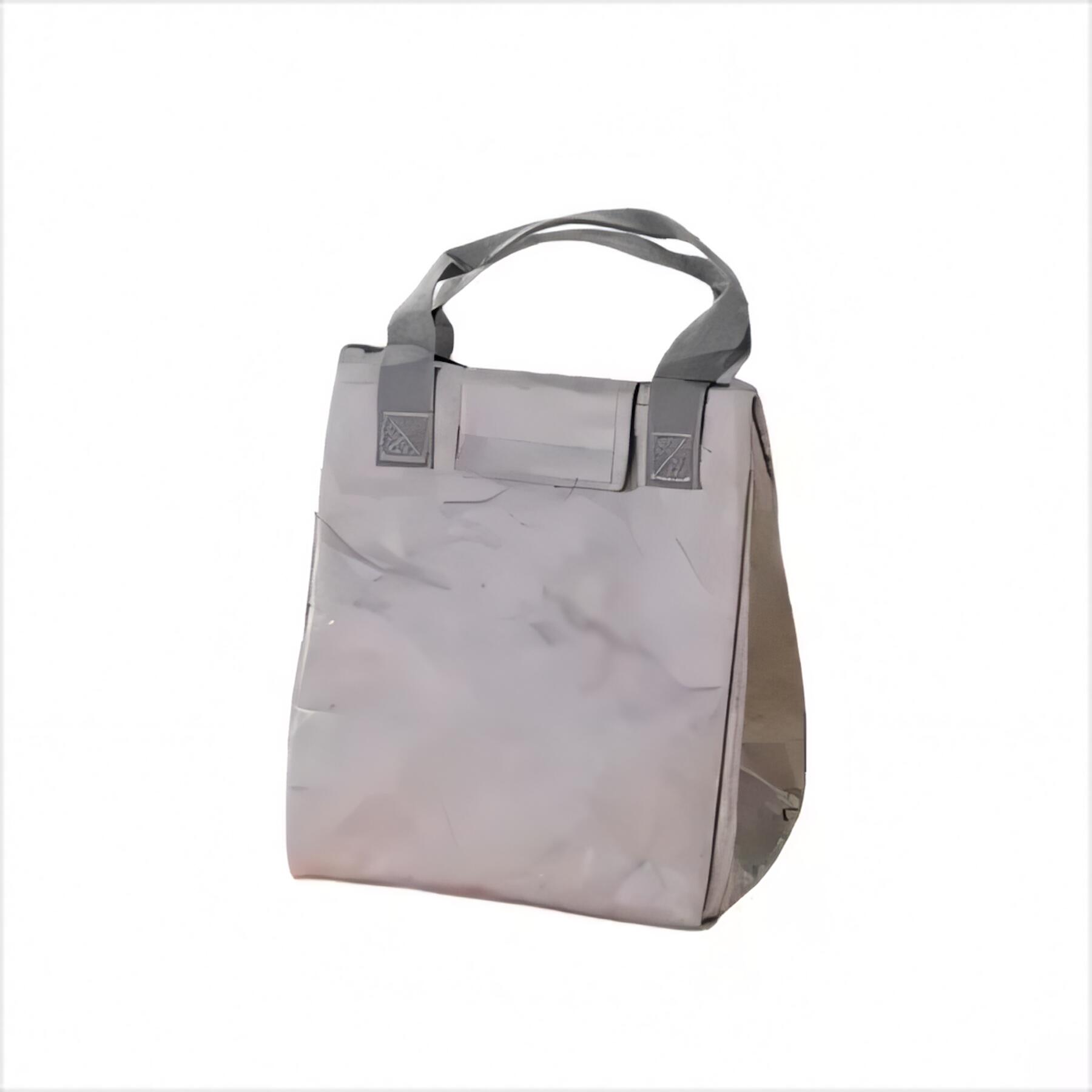 Washable Kraft Paper Lunch Tote