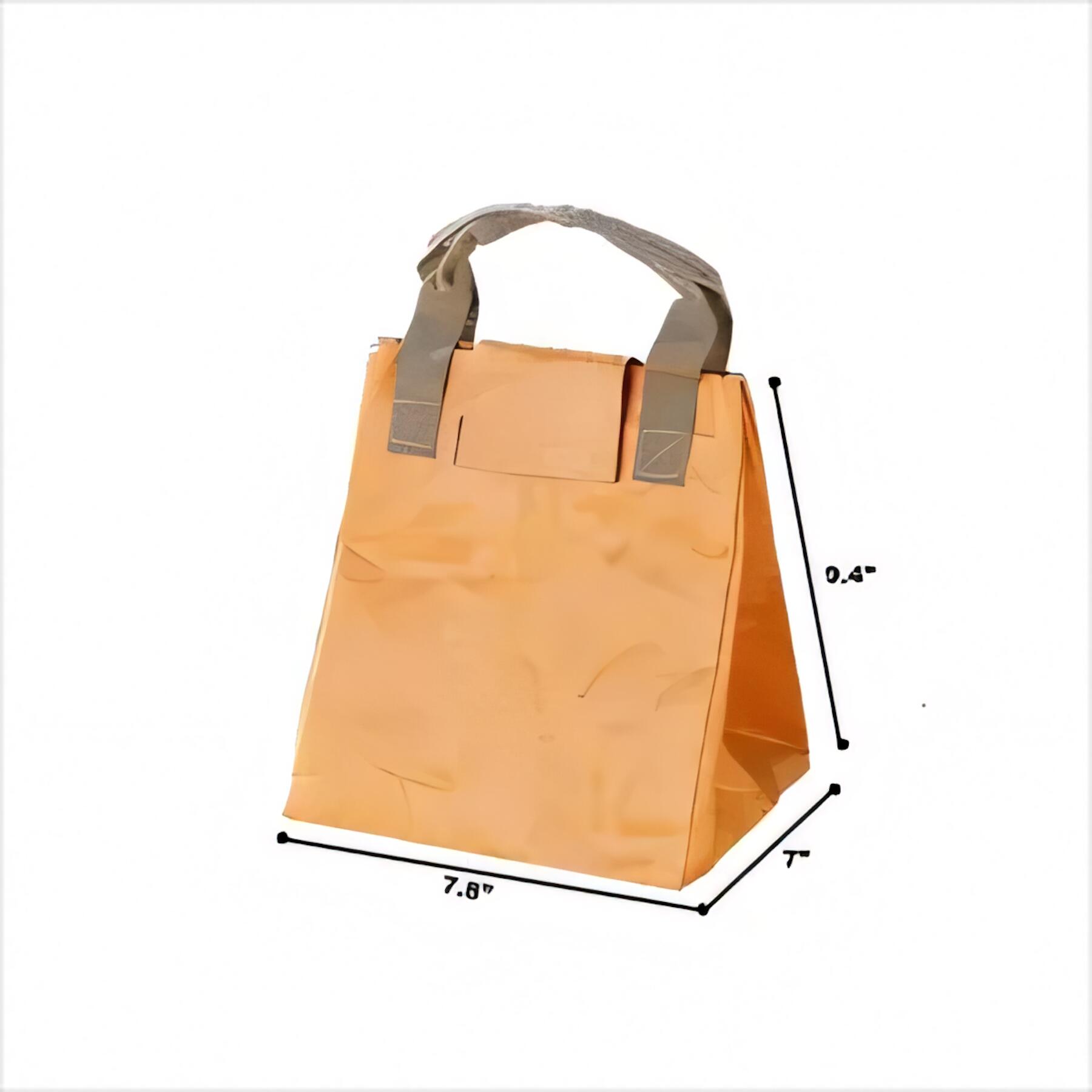 Washable Kraft Paper Lunch Tote